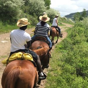 Meet your Posher, Moses